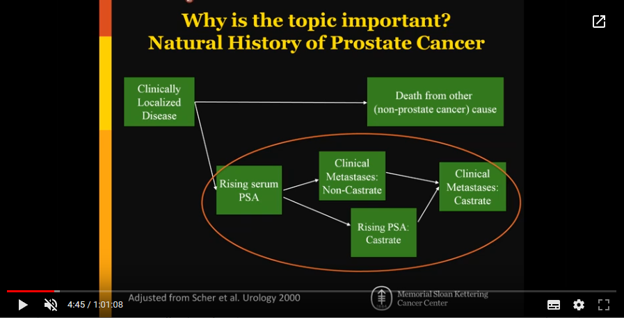 Imaging of recurrent prostate cancer (2017)