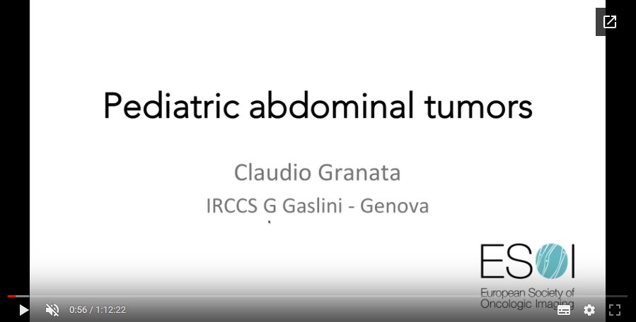 Paediatric abdominal tumours (2017)