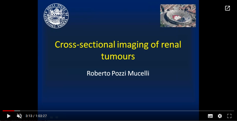 Cross-sectional imaging of renal tumours (2018)