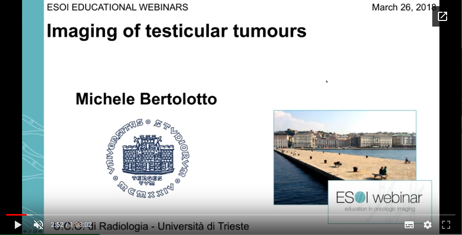 Imaging of testicular tumours (2018)